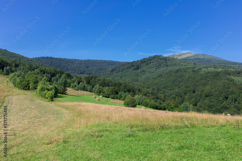 Fototapeta premium Carpathians mountain landscape in nice day. Mountains and forest on a sunny summer day. Ukrainian Carpathians The main watershed, Mount Pikuy