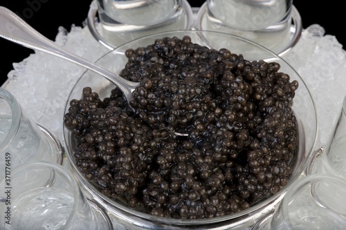Caviar, Sturgeon's Egg
