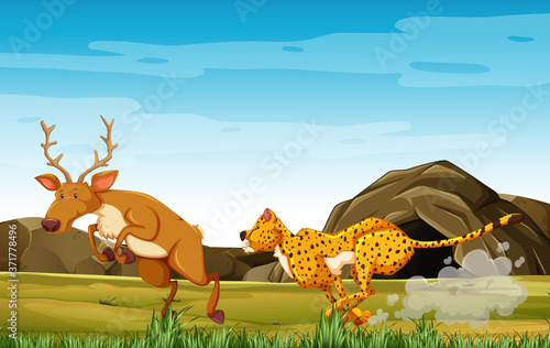 Leopard hunting deer in cartoon character on the forest background