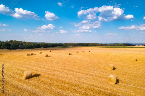 Niesamowity krajobraz z belami siana na polu po zbiorach w Polsce