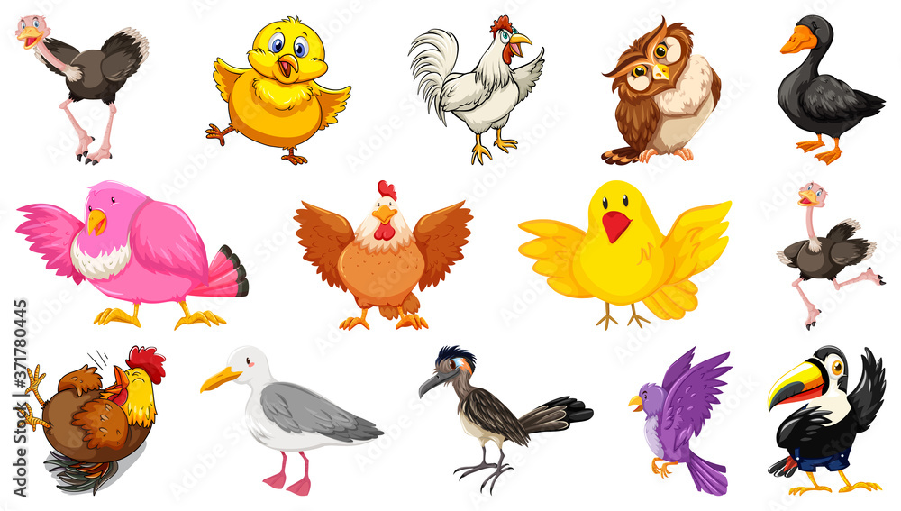 Obraz premium Set of different birds cartoon style isolated on white background