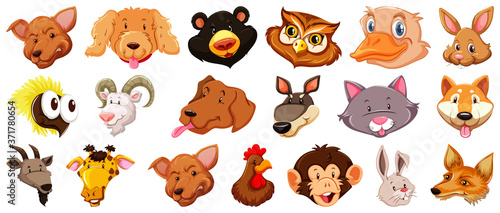 Set of different cute cartoon animals head huge isolated on white background
