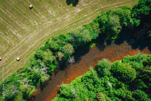 Aerial shot of forest river surrounded by greens and trees