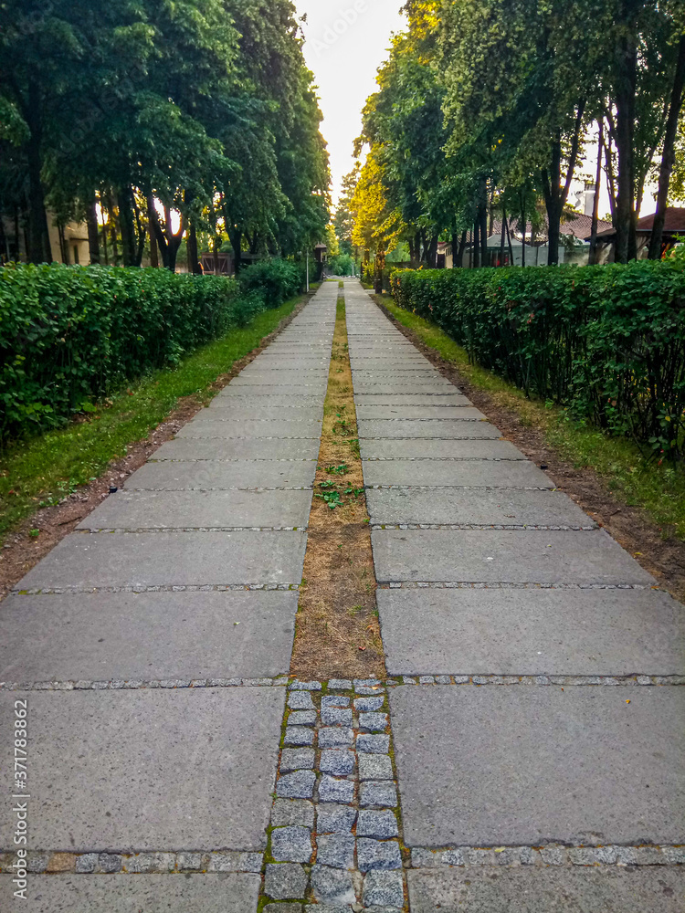 path in the park