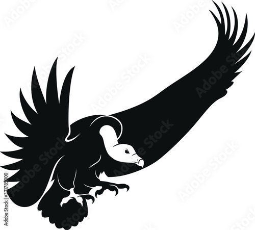 Black Vulture Flying Down vector