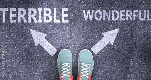 Terrible and wonderful as different choices in life - pictured as words Terrible, wonderful on a road to symbolize making decision and picking either one as an option, 3d illustration