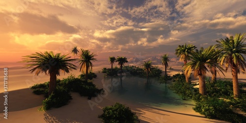 Oasis at sunset in a sandy desert, a panorama of the desert with palm trees, 3d rendering