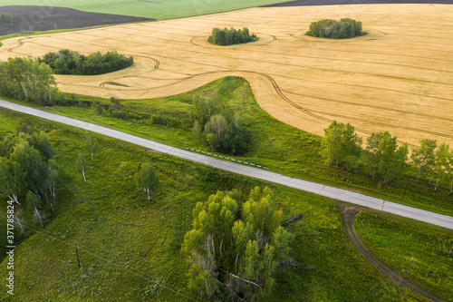 Aerial shot. Asphalt road in green vegetation near a wheat field. In a rural area