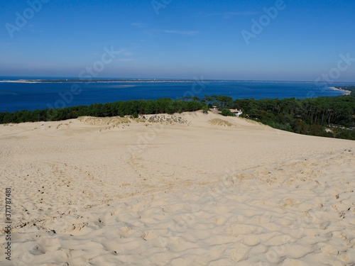 Fototapeta Naklejka Na Ścianę i Meble -  The Pilat Dune or Pyla Dune, on the edge of the forest of Landes de Gascogne on the Silver Coast at the entrance to the Arcachon Basin, is the highest dune in Europe, Aquitaine, France