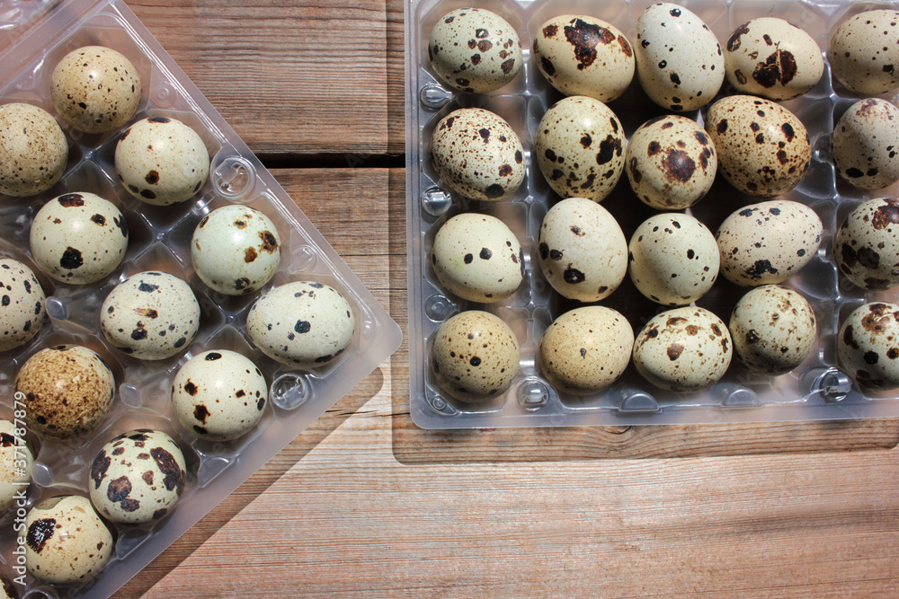 Obraz premium Organic quail eggs in plastic box on wooden table. Natural hard light. Deep shadows. Healthy food concept