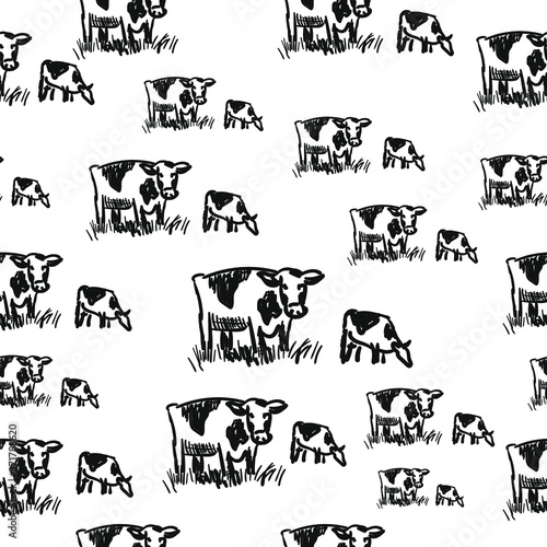 Cow illustration