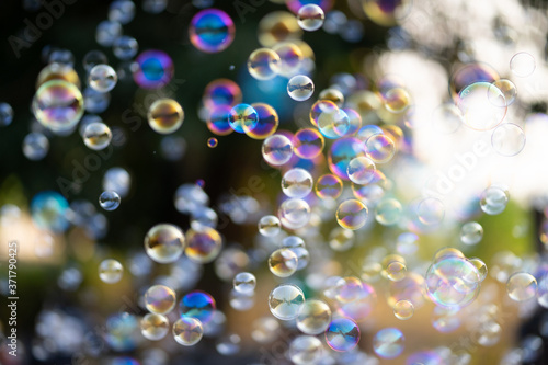 Lots of soap bubbles floating beautifully