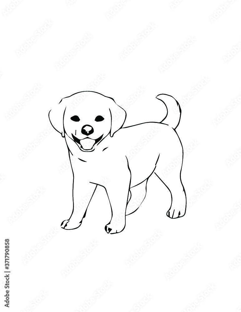 Fototapeta premium dog with bone