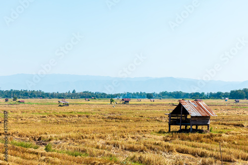 rural landscape with a house in the background