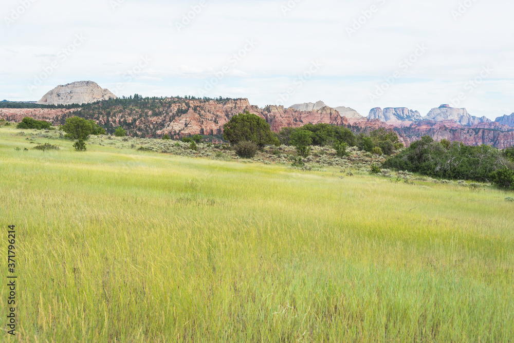 An overview of Kolob Canyon An overview of Kolob Canyon