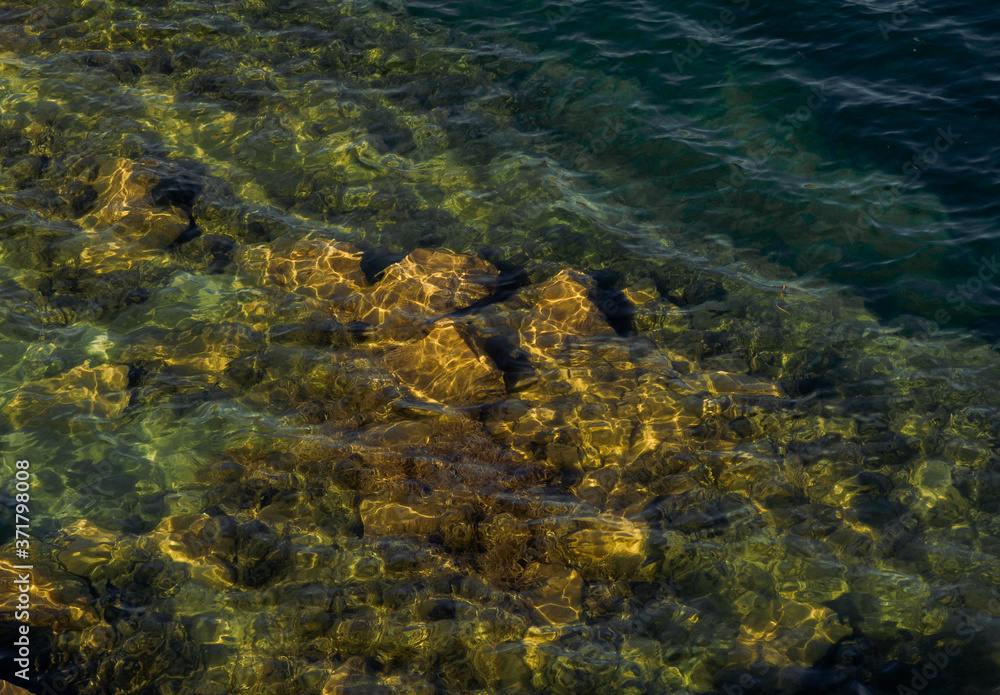 stones are visible through clear water