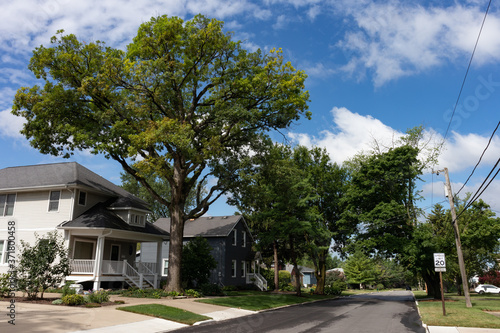 Fototapeta Naklejka Na Ścianę i Meble -  Midwest Neighborhood Street with Old Homes and Green Trees during the Summer in Lemont Illinois