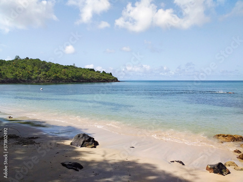 Fototapeta Naklejka Na Ścianę i Meble -  Idyllic landscape of the calm Caribbean Sea with coastal vegetation under tropical blue sky. Tropical and Caribbean landscape background of the French West Indies.
