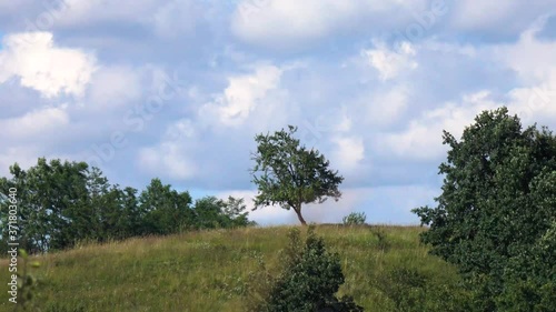 Timelapse with clouds and trees