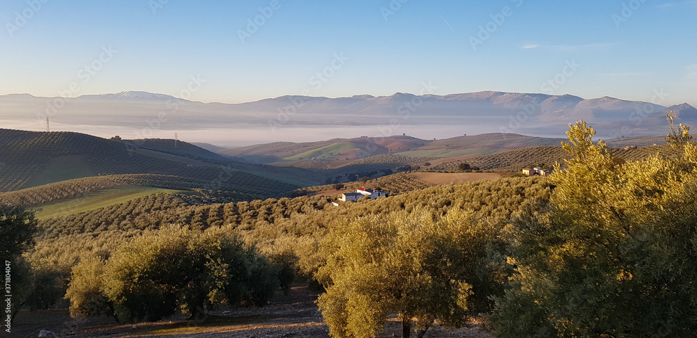 Andalusia landscapes. Fog in rural and agricultural