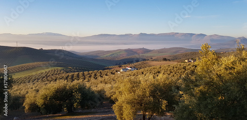 Andalusia landscapes. Fog in rural and agricultural