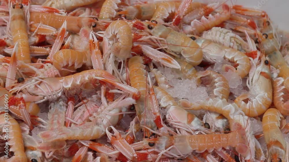 Crawfish from Huelva prepared in a market for sale. Crawfish from Huelva prepared in a market for sale.