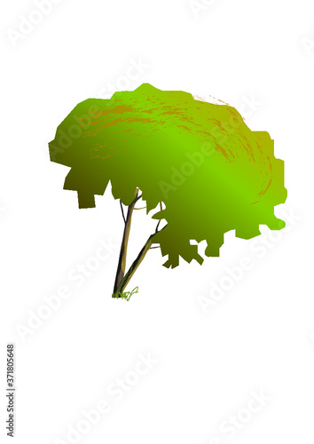 vector illustration of a tree