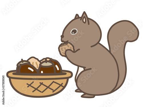 木の実を食べるリス
