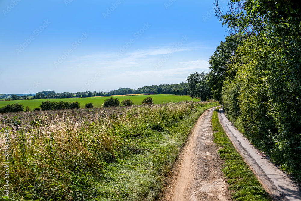 Cotswolds scenery and agricultural landscape England UK