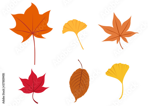 イラスト素材 紅葉 もみじ 秋 葉 セット パターン 和風 テクスチャ― ベクター