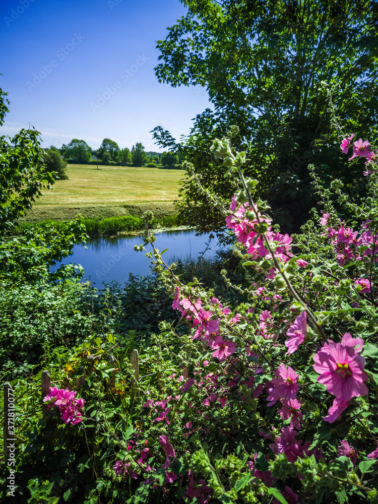 Fototapeta premium Cotswolds scenery and agricultural landscape England UK