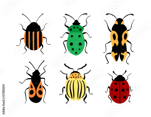 Beetles hand drawn collection. Cute decorative bugs isolated on white background. Vector illustration.
