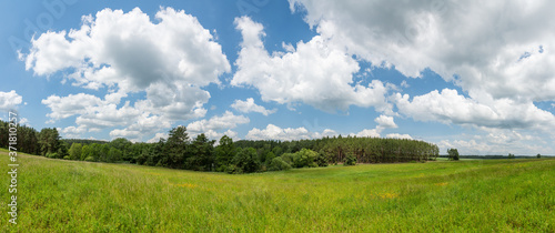 panorama meadow in front of forest, white clouds on blue sky