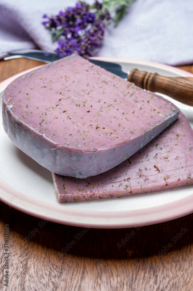 Cheese collection, pieces of violet hard cheese made with aromatic lavender seeds and fresh lavender flowers