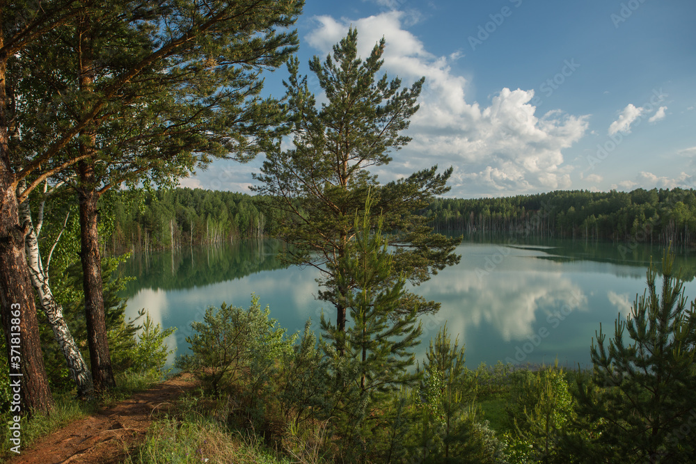 Obraz premium forest lake landscape. View of the blue lake forest