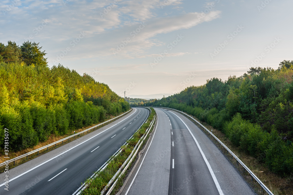 road in the forest