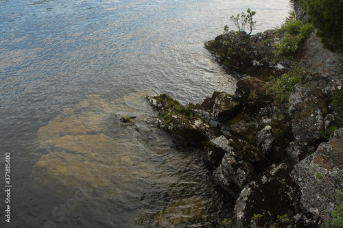 Lake Teletskoye with calm water on a summer day .Altai territory