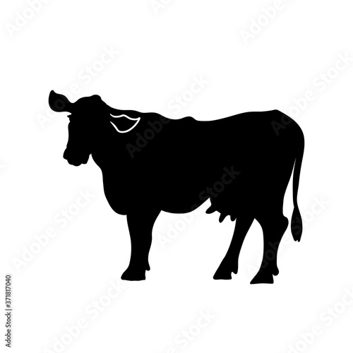 Milk cow silhouette. Farm vector logo.