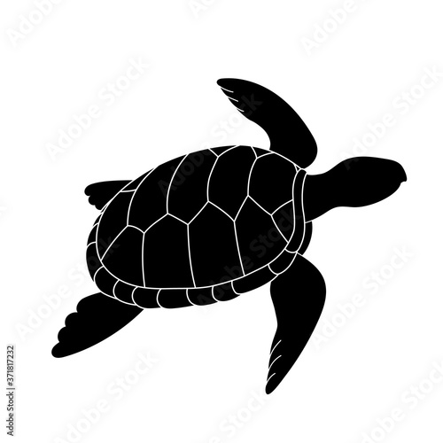 Vector icon - sea turtle on a white background. Reptile. Doodle animals. Vector symbol in black outline style. Cartoon icon turtle in  black monochrome.