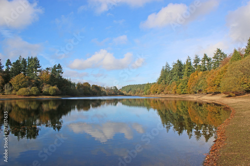 Fototapeta Naklejka Na Ścianę i Meble -  Reflections in Tottiford Reservoir, Devon, in Autumn	