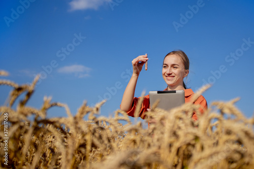 Fototapeta Naklejka Na Ścianę i Meble -  Farmer with tablet and test tube researching plant in wheat field.Agriculture and harvesting concept. Agro business.