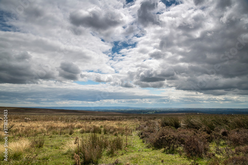 A cloudy summer, 3 shot HDR image, of the North York Moors National Park looking across Staunton Moor, North Yorkshire, England.