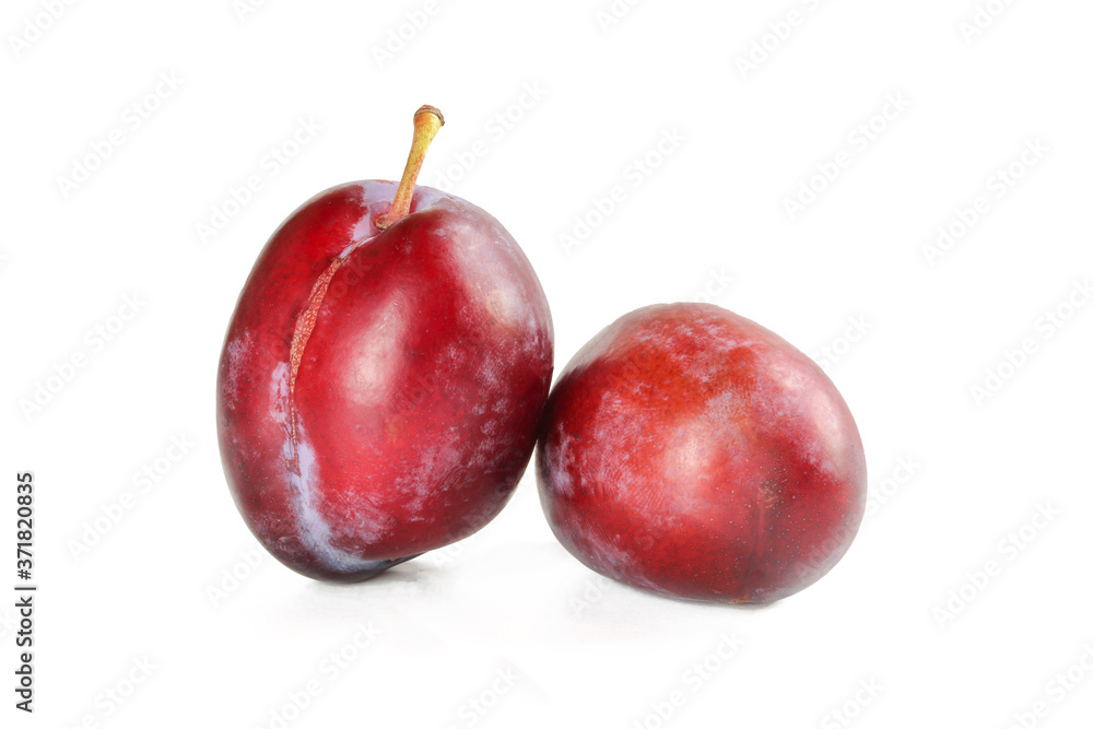 Two fresh plums isolated on white background. Tasty organic fruit