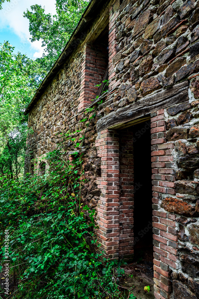 maison ancienne délabrée envahie par la végétation maison ancienne délabrée envahie par la végétation