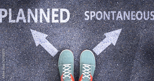 Planned and spontaneous as different choices in life - pictured as words Planned, spontaneous on a road to symbolize making decision and picking either one as an option, 3d illustration