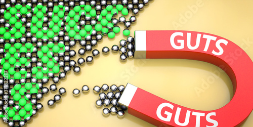 Guts attracts success - pictured as word Guts on a magnet to symbolize that Guts can cause or contribute to achieving success in work and life, 3d illustration