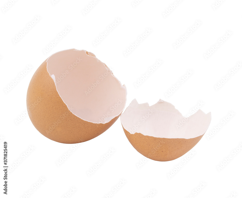 Egg shells isolated on white background Egg shells isolated on white background