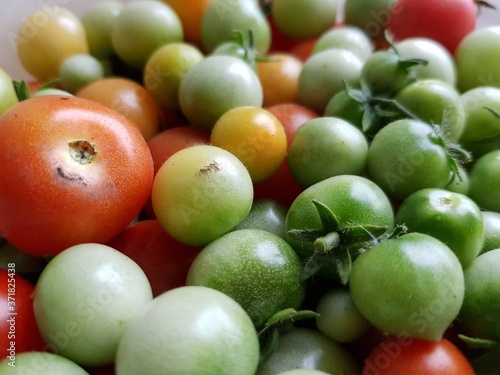 Red and green tomatoes on a plate