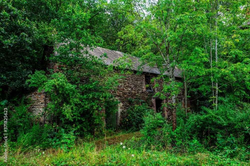 maison ancienne délabrée envahie par la végétation maison ancienne délabrée envahie par la végétation