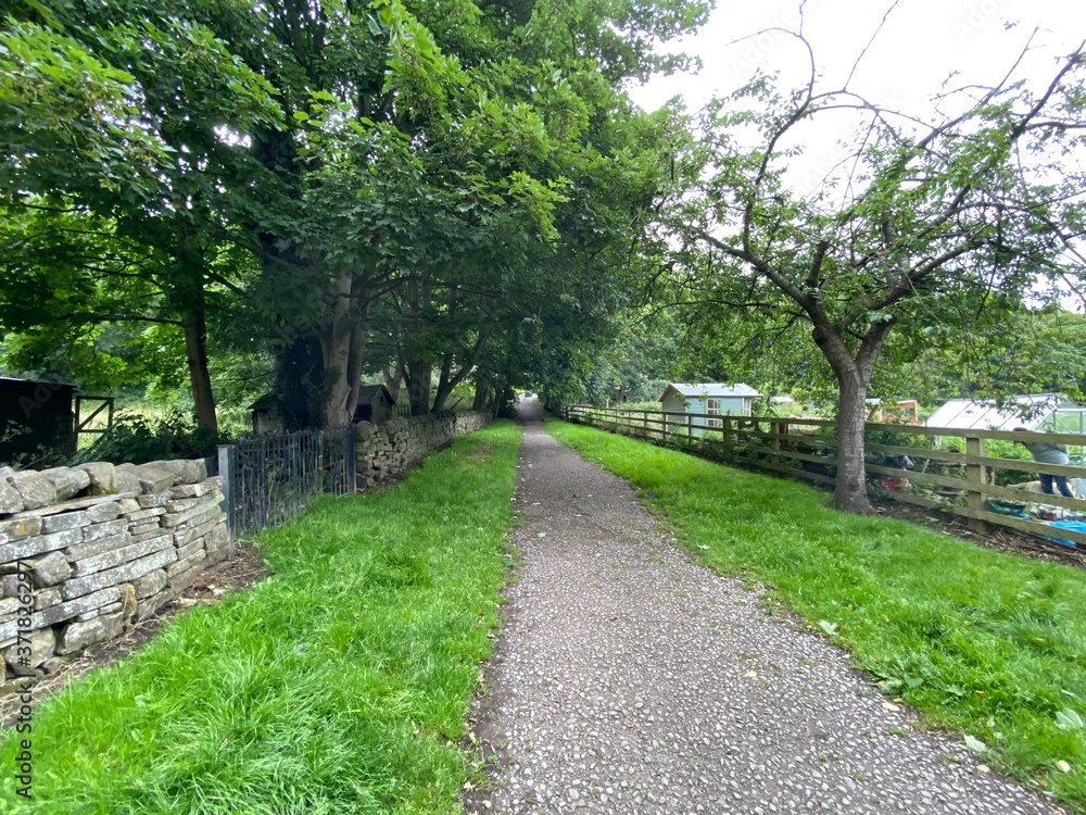 Narrow path, with grass verges and trees, running alongside some allotments in, Esholt, Bradford, UK